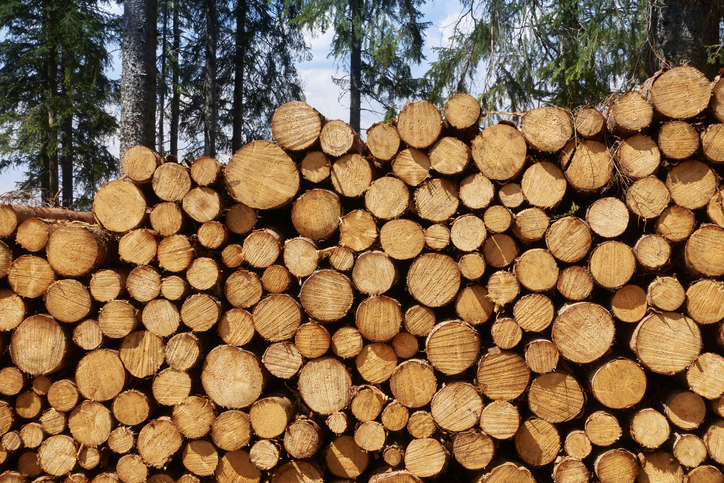 Ambition forêt 2030, stratégie régionale et CAP filière