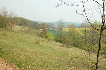 La RNR de la Vallée des Cailles à Boncourt