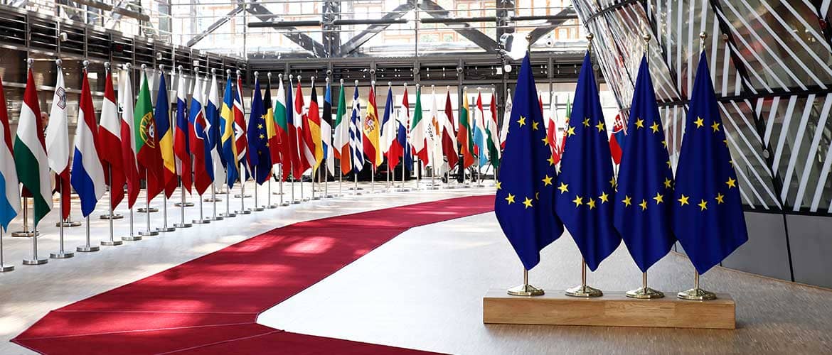 Drapeaux de l'Union Européenne et des pays membres