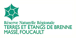 Réserve Naturelle Régionale Terres et Étangs de Brenne, Massé, Foucault