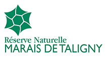 Réserve Naturelle Marais de Taligny