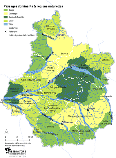 Observatoire de la biodiversité - Carte des paysages dominants et régions naturelles (Bocages, Champagnes, Dominantes forestières, Gâtines, Vallées, Cours d'eau) - DREAL Centre-Val de Loire Mai 2025