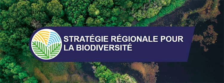 Stratégie régionale pour la biodiversité