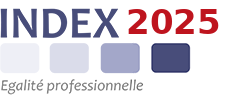 Index 2025 Égalité professionnelle