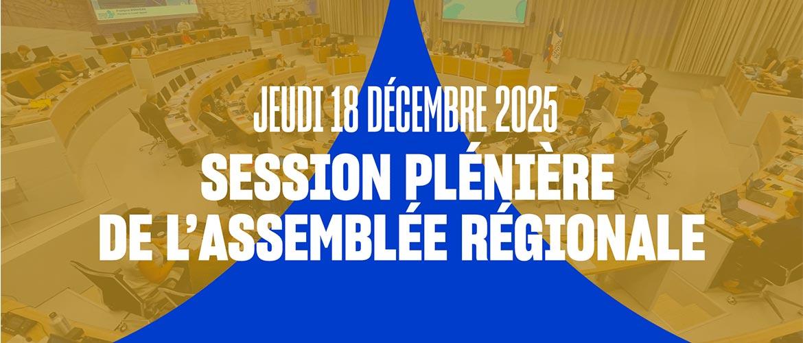 jeudi 18 décembre - session de l'assemblée plénière